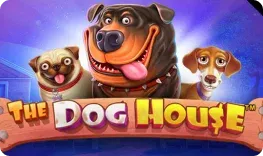 Royal Reels – The Dog House